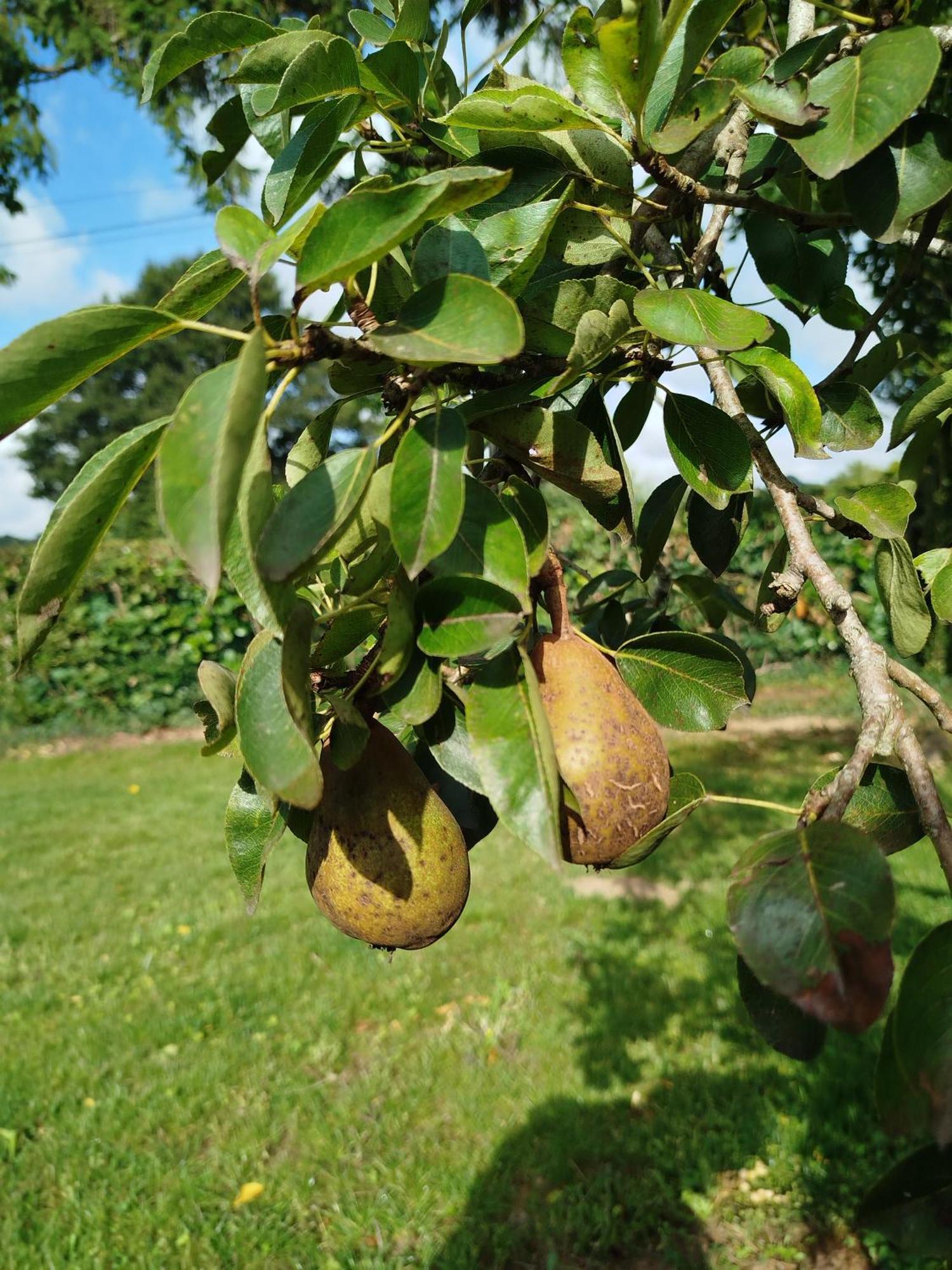Le Gite De La Haie Portee Lignieres-Orgeres Esterno foto